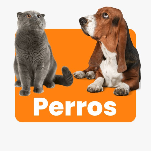 Perros